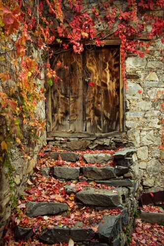 autumn mood, autumn colors, door-3830084.jpg